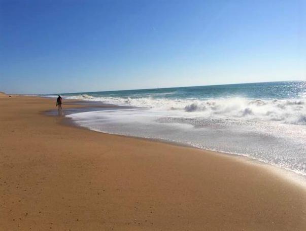 Appart Bréti Plage 2 Brétignolles-sur-Mer Esterno foto